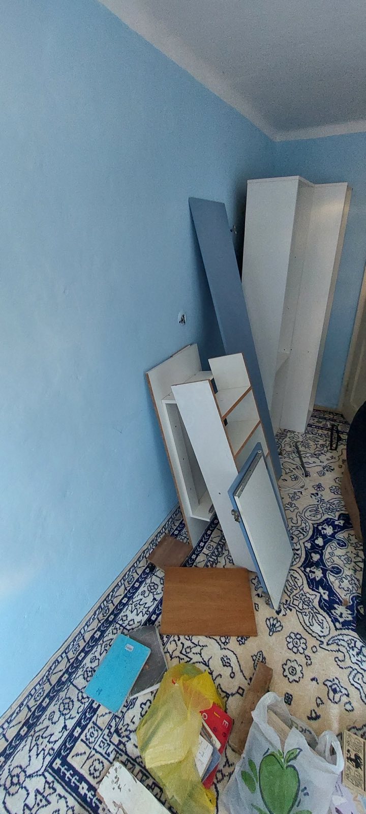 Odnošenje Nepotrebnih Stvari – slika 1
